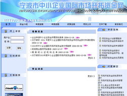 宁波市对外经济贸易信息中心 一站式数字化服务，赋能企业扬帆全球